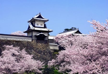 Kiyomizu-dera Temple - japan, cherry blossom, sakura, kiyomizu, temple, spring, kyoto, japanese