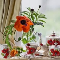 Poppy tea party