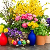 Spring Flowers and Easter Eggs