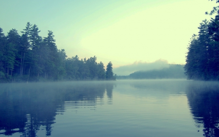 Wonderful river - Hill, Nature, Tree, River, Fog, Sky