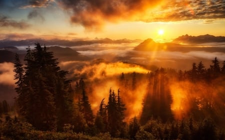 Orange sky - cloud, hill, tree, nature, sun