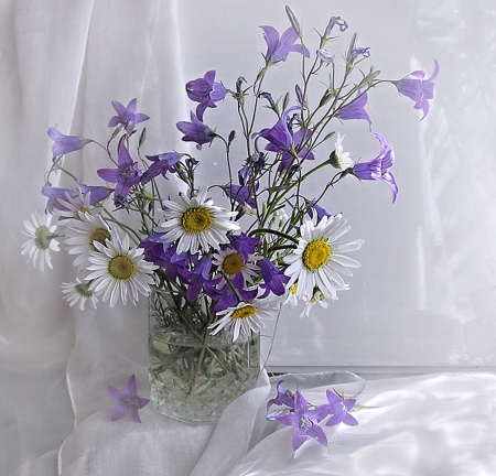 Still Life - flowers, white, purple, still life