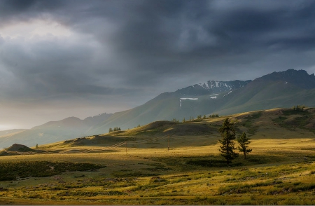 Amazing Nature - trees, mountains, nature, feilds