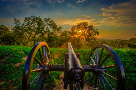 Cannon - nature, sunset, cannon, trees