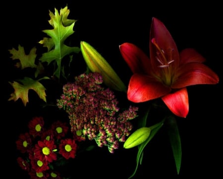 Beautiful Flowers - bloom, flowers, red, dark