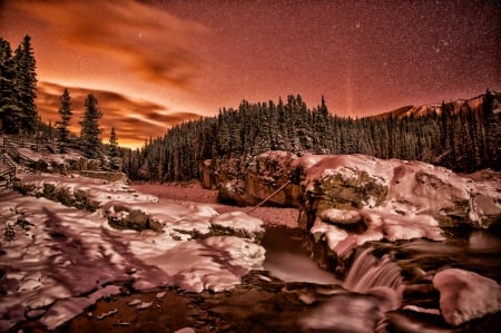 Winter and stars - winter, sky, stars, forest