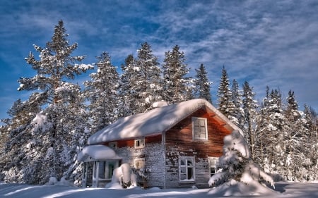 Abandoned Snowy Cottage