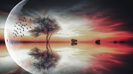 Dry tree - artwork - lake, artwork, dry, tree, bird