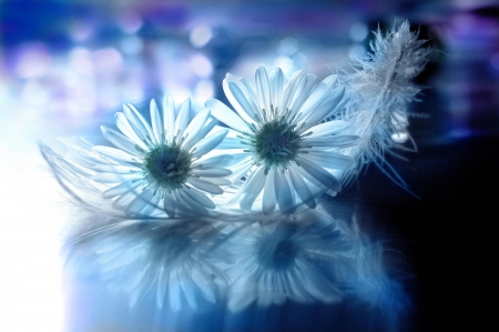 Beautiful Flowers - flowers, nature, bloom, blue