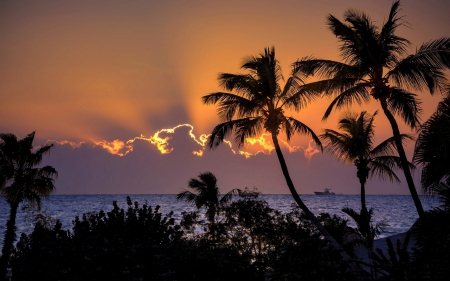 Beautiful sunset - beaches, sky, ship, cloud, sea, palm