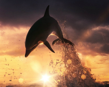 Dolphin - dolphin, animal, water, sky