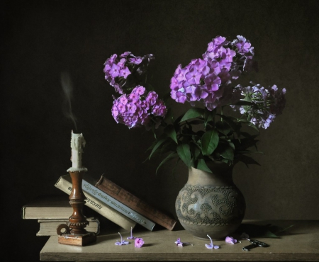 :) - flowers, purple, still life, soft