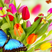 Spring background