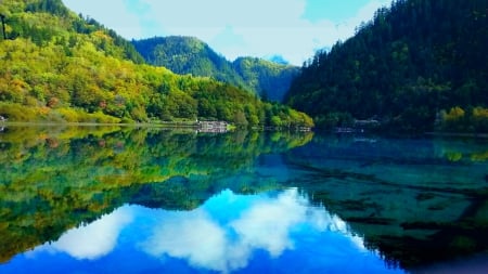 SPRING LAKE - calm, lake, forest, nature