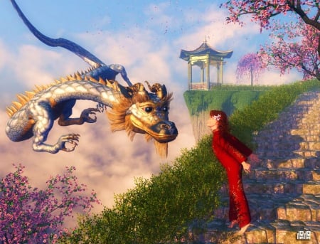 Friendly Dragon - blossoms, path, spring, cherry, trees, woman, sunshine