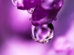 Water drop