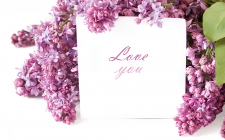 Love you, Mommy! - love, day, mother, spring, purple, pink, card, lilac, flower