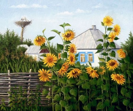 sunflowers - sunflowers, hause, art, garden