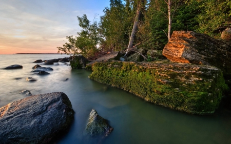 lake - lake, forest, cool, fun, nature