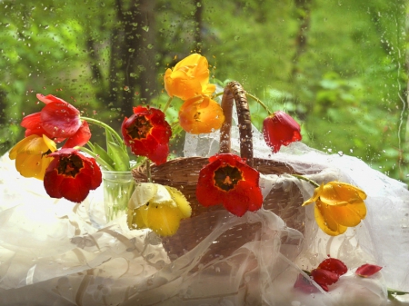 After the rain - trees, window, drops, wet, spring, still life, flowers, basket, tulips, garden, rain, frops