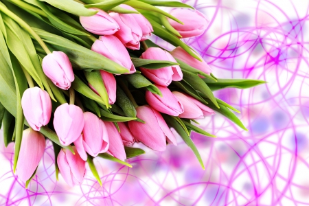 Happy women's day! - love, women, lady, gift, background, day, tulips, bouquet, lovely, pretty, beautiful, holiday, flowers