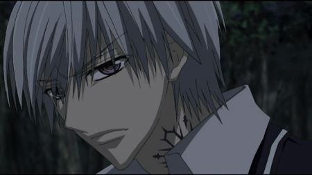 Zero Kiryu - Manga, Vampire, Vampire Knight, Anime