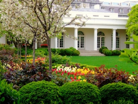 Spring garden - blooming, fragrance, tulips, yard, lovely, spring, country, home, pretty, blossoms, beautiful, house, scent, flowers, grass, garden