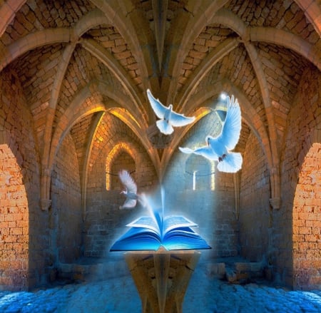 Awe.. - doves, church, light, blue, books, book