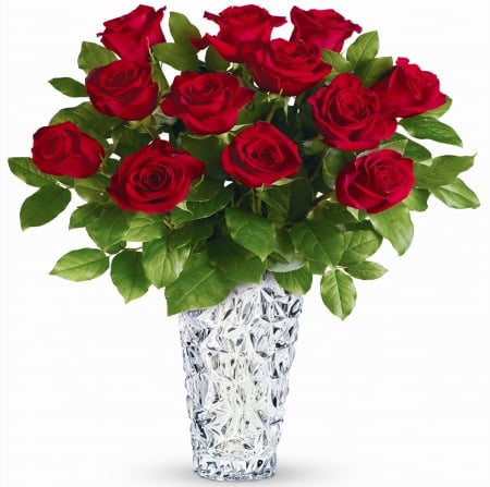 âœ¿ - background, glass, roses, bouquet, transparent, vase, white, red, flowers