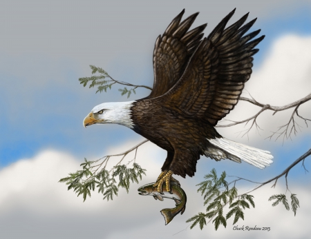 Hunter - art, hunter birds, life, eagle, wild, fish, digital, birds