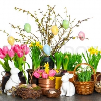 spring Flowers and Easter Bunnies