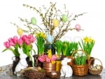 spring Flowers and Easter Bunnies