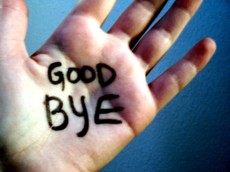 Good Bye - good bye, fun, hands, signs