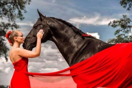 Friendship - love, friendship, girl, horse