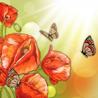 Poppies and Butterflies