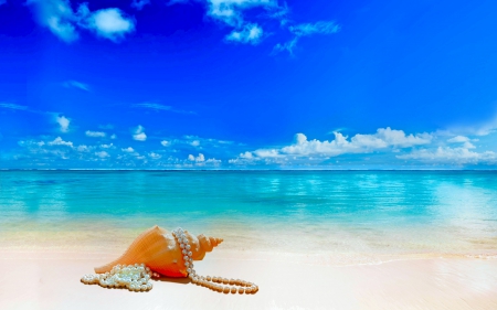 Sea and shell - beach, shell, sea, pearls