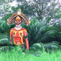 warrior from papua new guinea