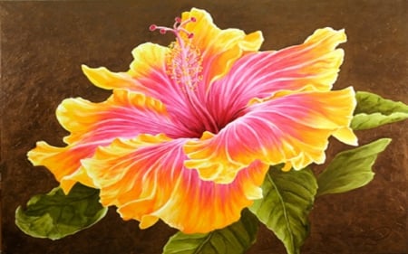 beautiful hibiscus - hibiscus, leaf, flower, beautiful