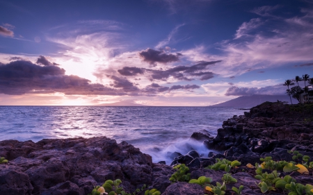 Sea  and  flowers - mountains, flowers, sea, rocks