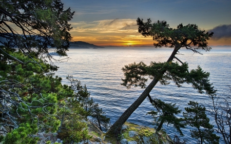 Spectacular sunset - cloud, summer, lake, sky, tree, nature, sun