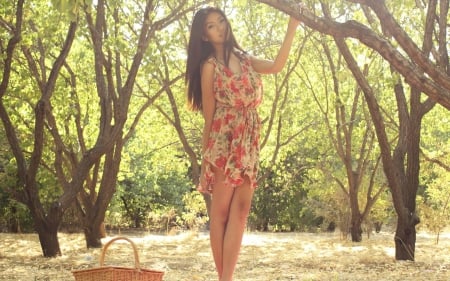 Beautiful woman - Floral dress, basket, beautiful woman, girl, cute, brown hair