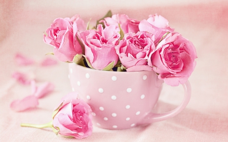 For you! - white, pink, day, mother, valentine, rose, flower, cup