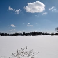 frozen winter lake