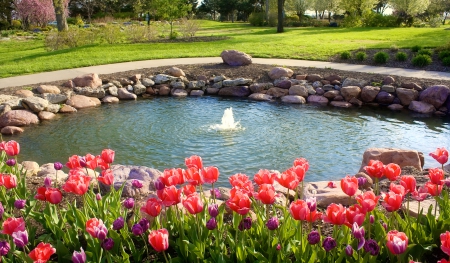 Spring garden - pretty, water, fountain, beautiful, spring, grass, lovely, freshness, flowers, nature, garden, park