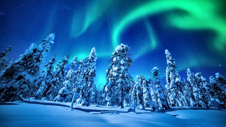 Northern Lights F1C - abstract, nature, photography, forces of nature, photo, wide screen