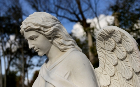 Statue of an angel - wings, statue, photography, angel