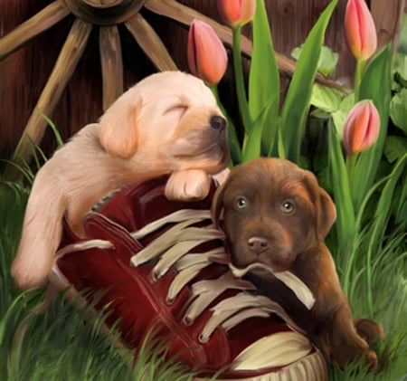 best freinds - art, tulips, animal, dogs, freinds