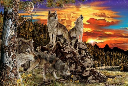 wolfes - wolf, art, animals, wild