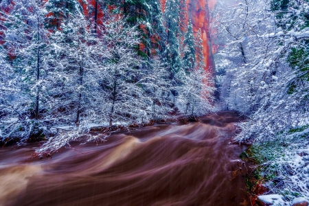 Winter - forest, winter, canyon, river, wild