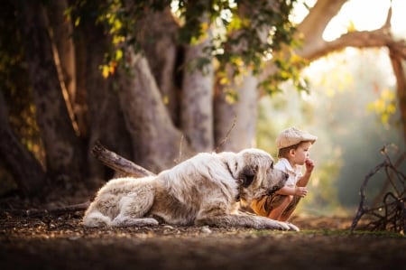 Child and dog - dog, Child, friends, tree